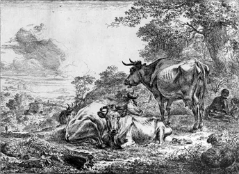 Trois vaches